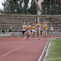 IMG 3691